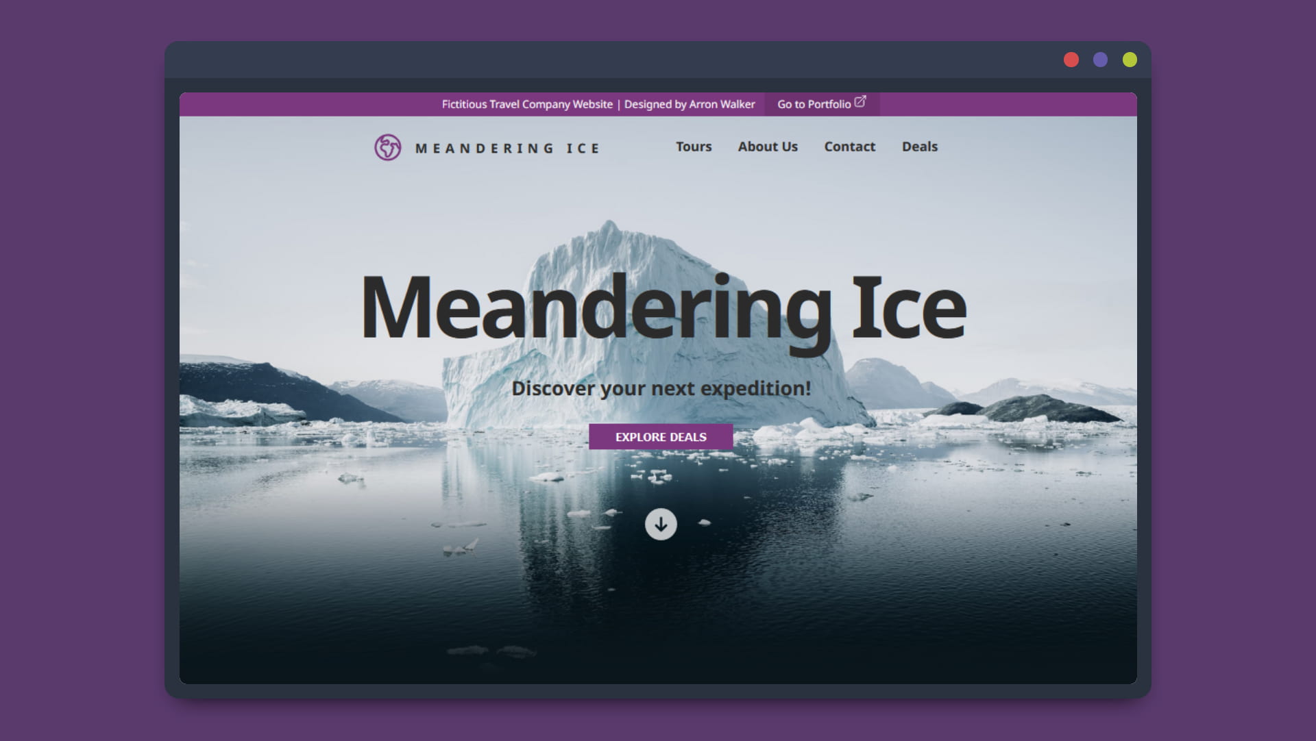 screen shot of fictitious arctic travel site
